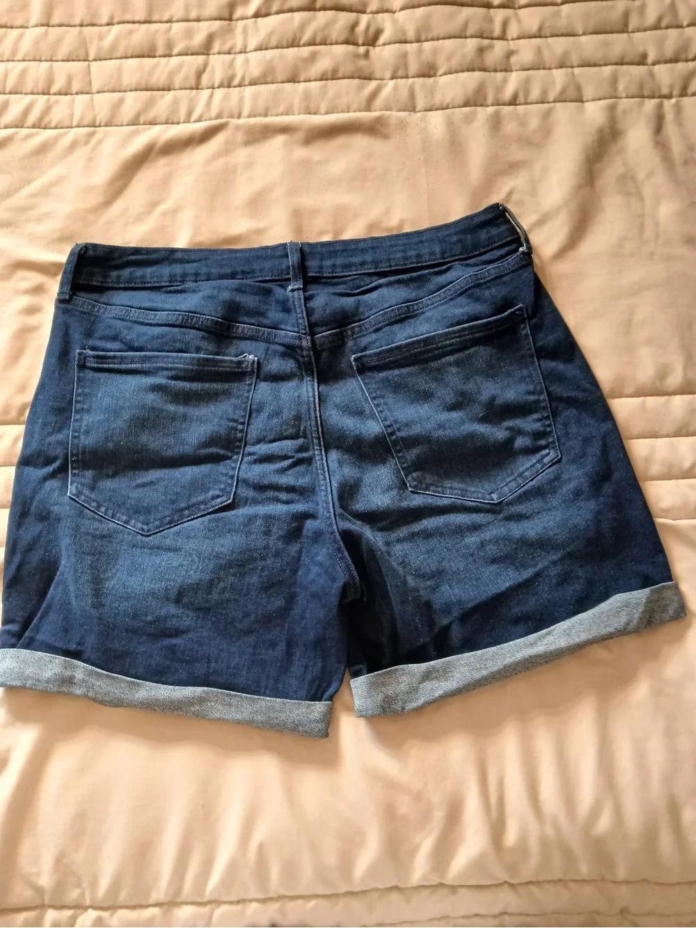 Dark Wash Denim Shorts for Women